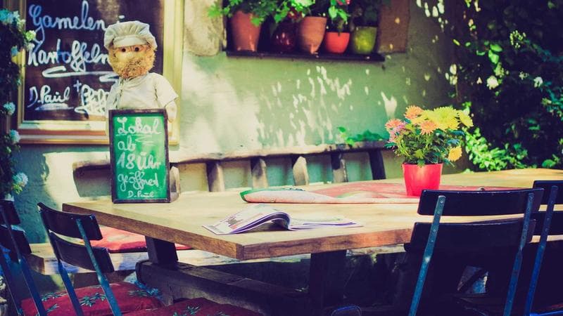 Aksi Heroik Ojol Selamatkan Kucing di Atas Pohon Setinggi 10 Meter