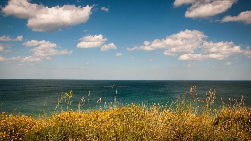 Dituduh Oplas Hidung, Penyanyi Dangdut Ini Tunjukkan Bukti Foto Kecil